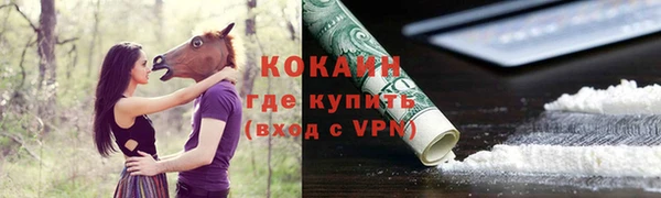 тгк Козловка