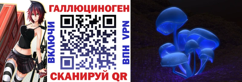 Купить закладки Кстово Галлюциногенные грибы Psilocybine cubensis